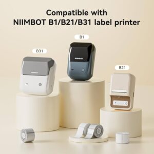 Alternative view of NIIMBOT B1