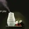 2000ml Large Capacity Essential Oil Diffuser Aroma Diffuser New Products 2017