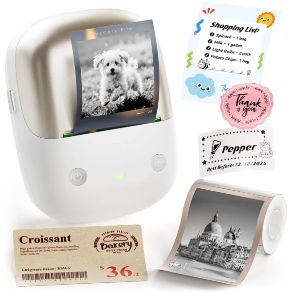 NIIMBOT B2 Pro 300 DPI High Definition, Portable Thermal Label Printer with Fun APP for Photos, Scrapbook, Home,School Oragnization