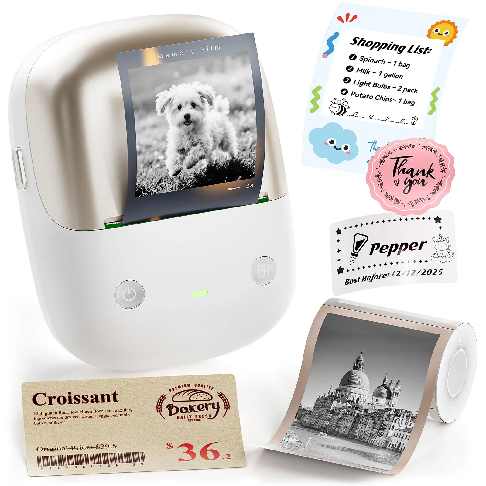 NIIMBOT B2 Pro 300 DPI High Definition, Portable Thermal Label Printer with Fun APP for Photos, Scrapbook, Home,School Oragnization
