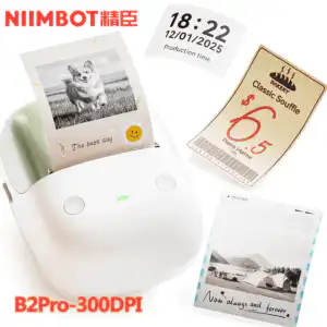 NIIMBOT B2 Pro 300 DPI High Definition, Portable Thermal Label Printer with Fun APP for Photos, Scrapbook, Home,School Oragnization