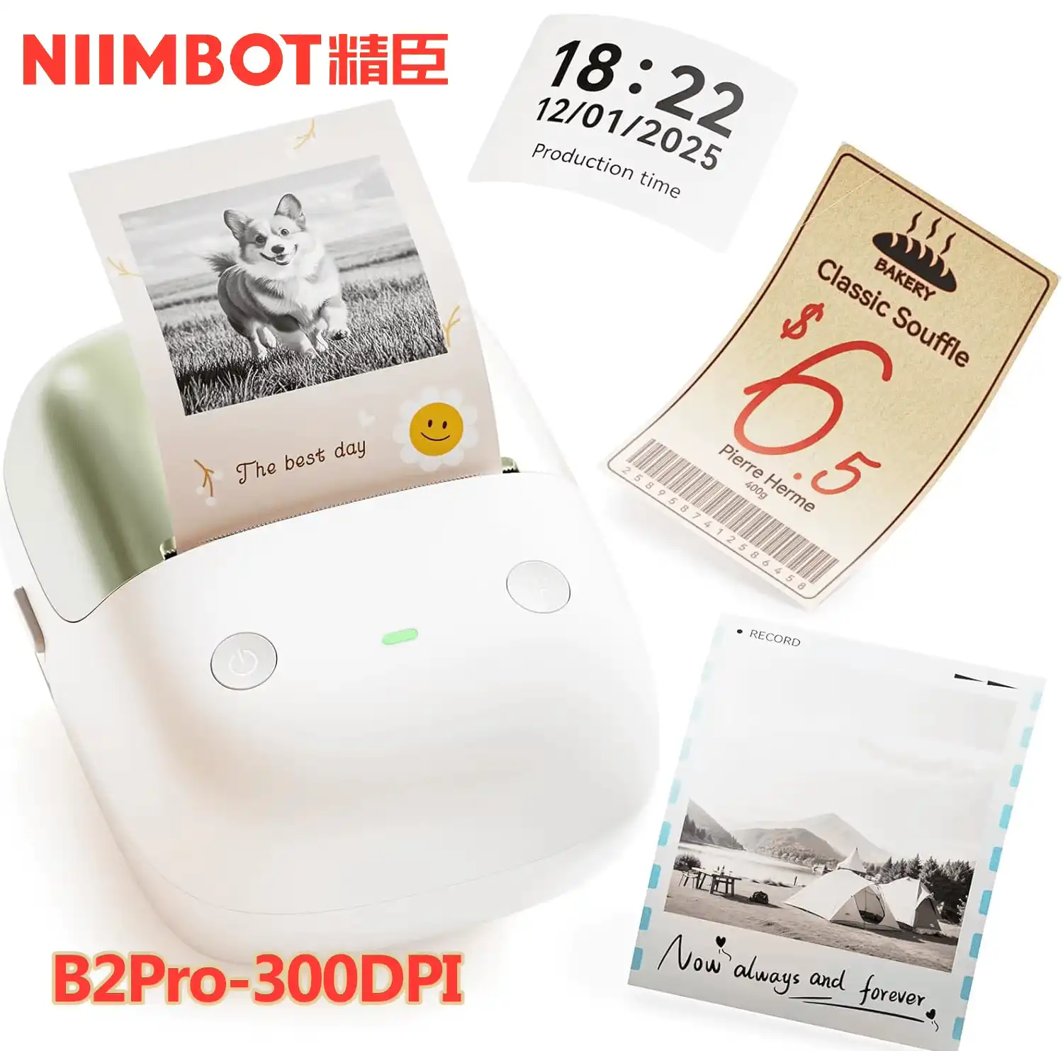 NIIMBOT B2 Pro 300 DPI High Definition, Portable Thermal Label Printer with Fun APP for Photos, Scrapbook, Home,School Oragnization
